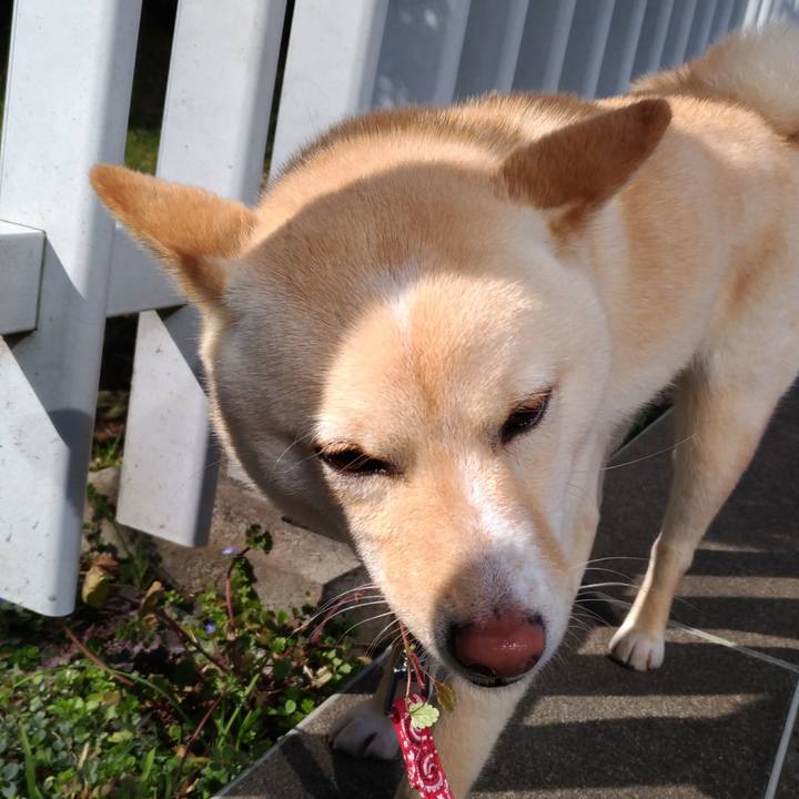 15aaf3a6 2587 4467 9f99 f59da1bea96e 1519989197568