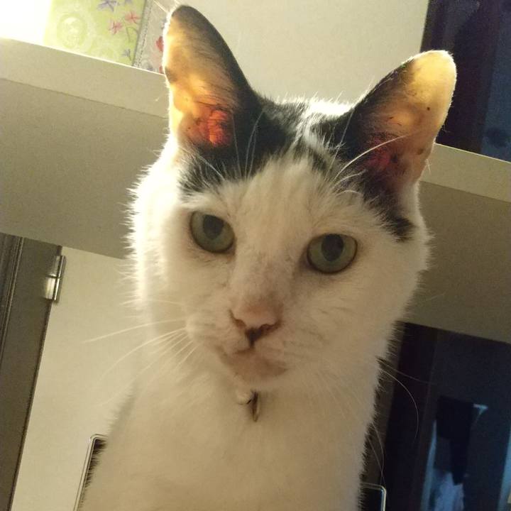 15ab274d 6efe 49d0 86c5 17f39aea7e55 1689753546263