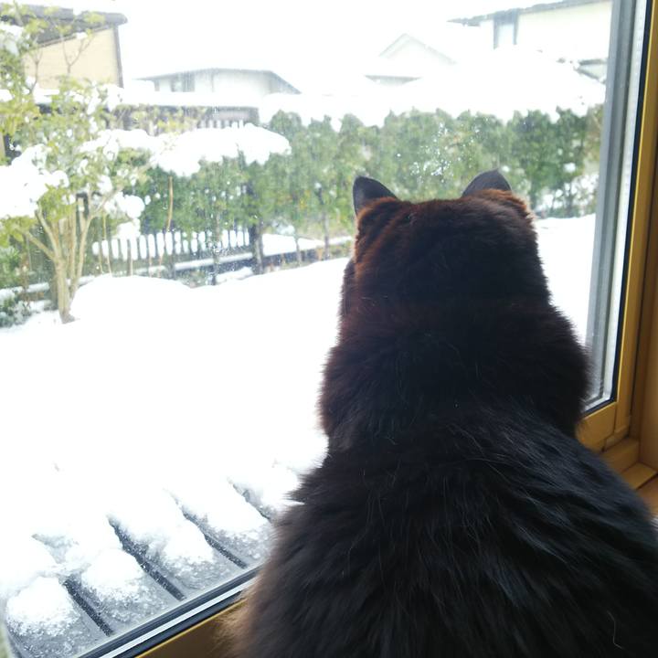 15ab5ab8 312b 40ef 8d77 51b8676fcfef 1554934025736