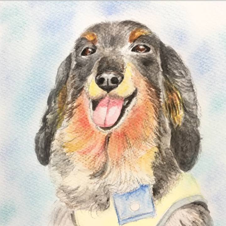 15ab73bb b74c 44cb b1fa c61a711f94bc 1561877615932