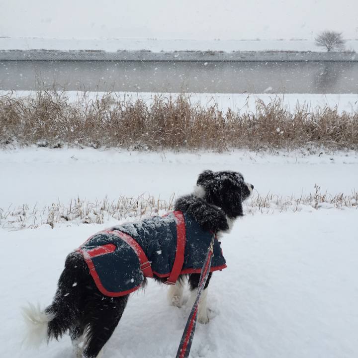 15ab756a 3c2d 4471 946f a02d4d1ad1e1 1517869974190