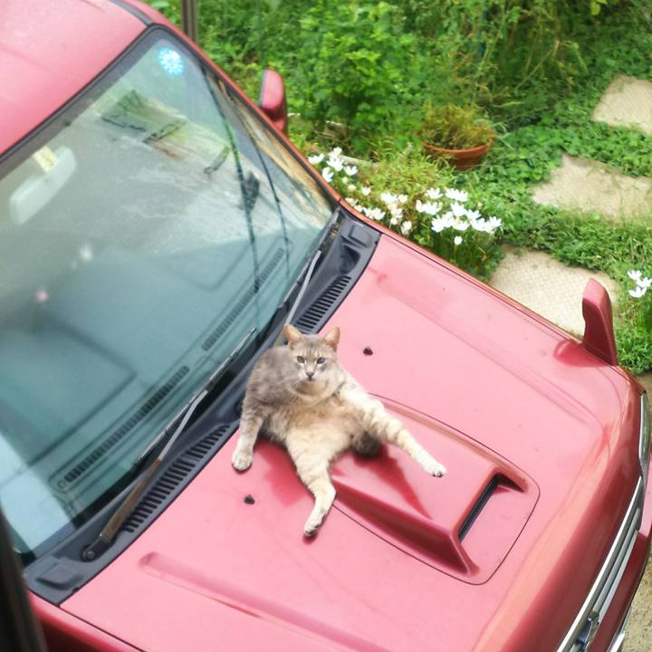 15ab8baa 9750 4e0b 84d8 84203b5daf31 1537349847488