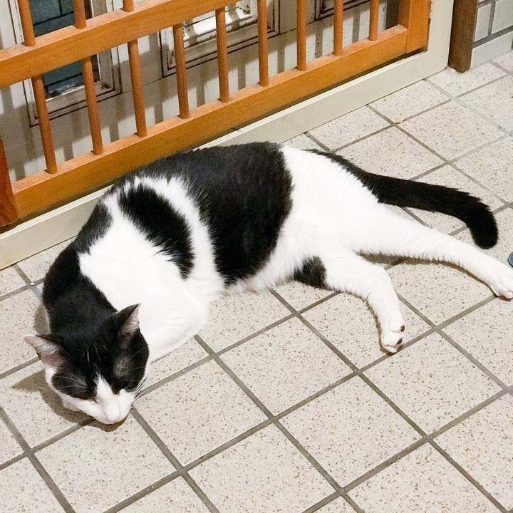 15ab9916 11be 4f06 ac67 7cdf85662f19 1534517363385