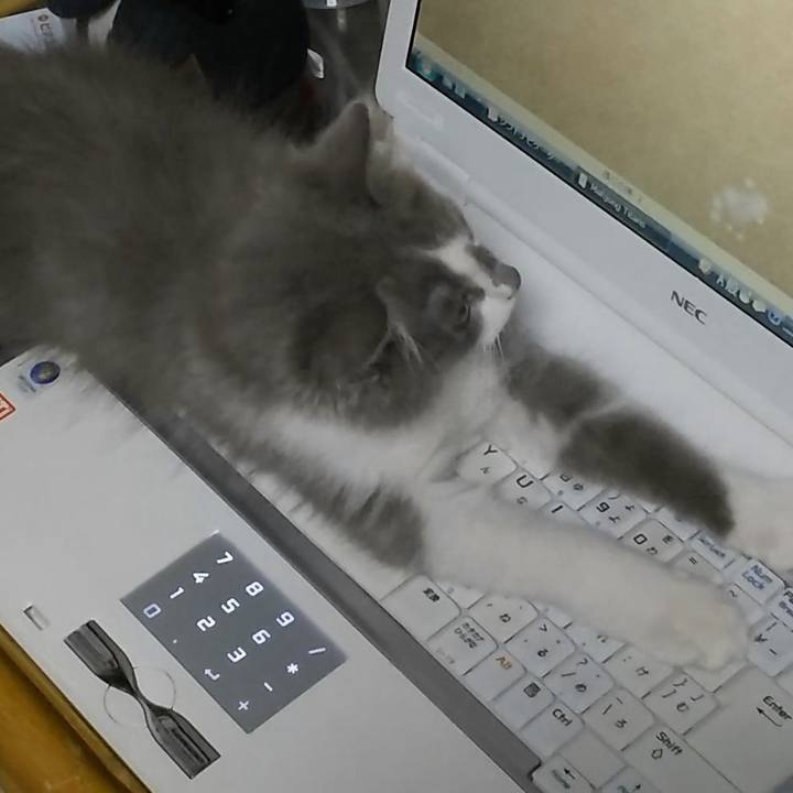 15abb4cd d0b4 4a98 bb54 07acd0cb39d1 1563156682486