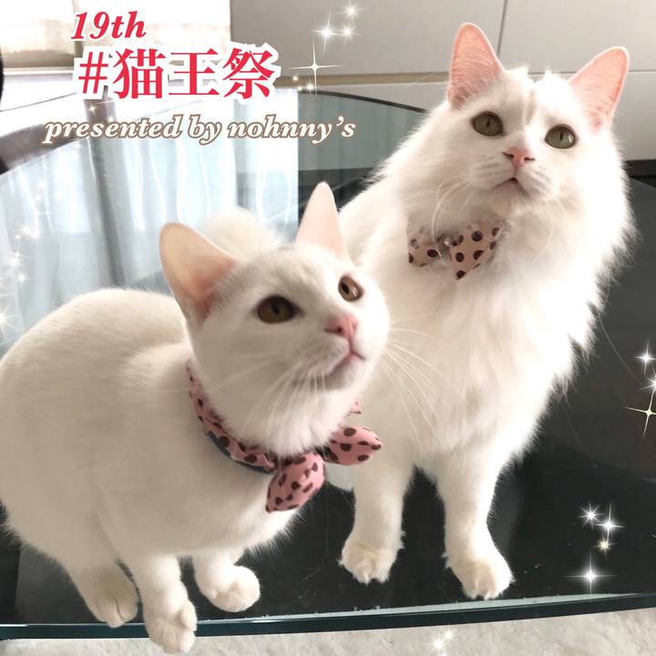 15abbefb e150 4f54 acba 3f1272eb3814 1582124458257