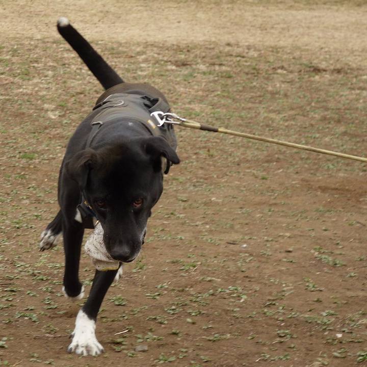 15abc2c6 02b0 4b06 bd8a 6bb52d64a3b5 1647132438984