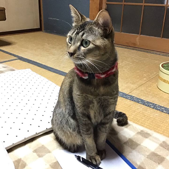 15abcee2 29c9 4d4d 8dba b6e465b91a86 1608453939758