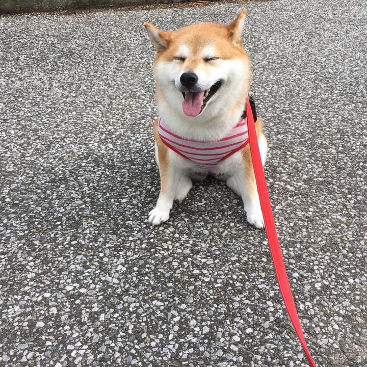 15abdeba a9cf 4d27 a10d 41533048d6cc 1594080081871