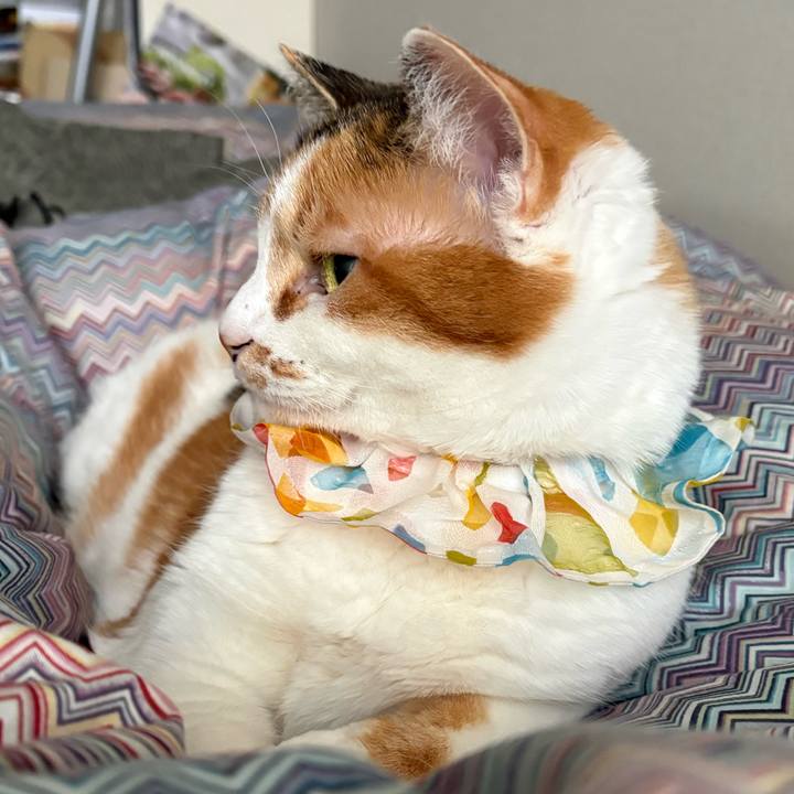 15abe095 8070 4e02 9a17 216f5087039b 1772148774331