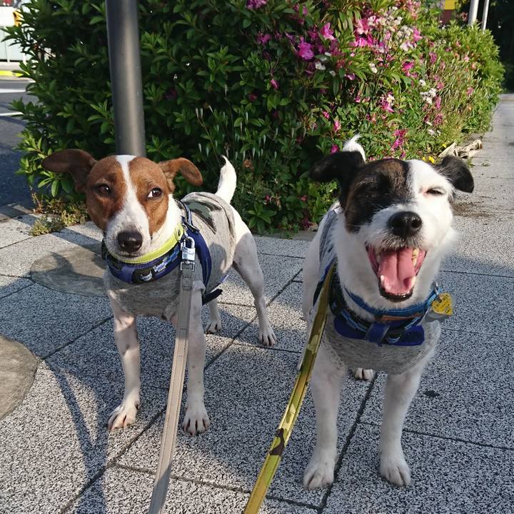 15ac098c d5f8 43a9 80ed 5519b7d2ff68 1557956541026