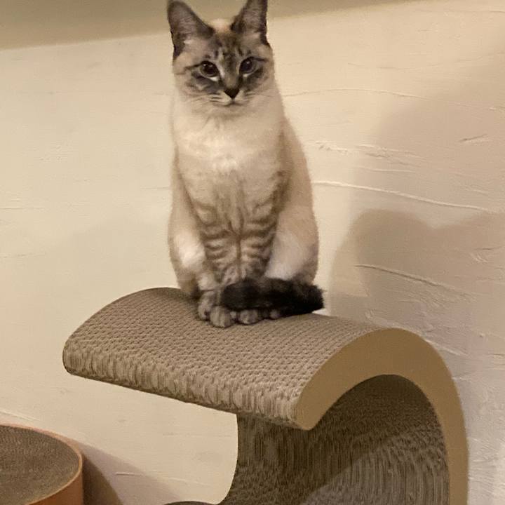 15ac1b42 21a0 457b 9336 567d07d49bb7 1643893461499