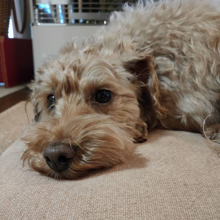 15ac2ccb 9006 4d7c a558 8ed12e7db800 1582149529553