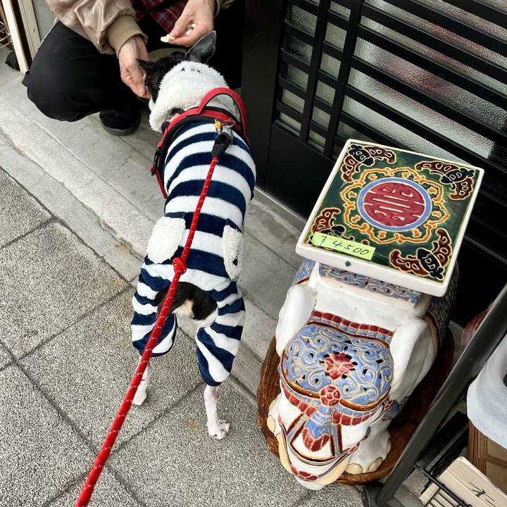 15ac2e72 f72a 4616 b96c 65ed21d8458b 1642324064703