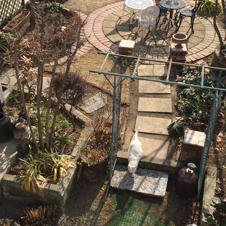 15ac2eea 7678 418b 8699 061a398e50dc 1519432755063