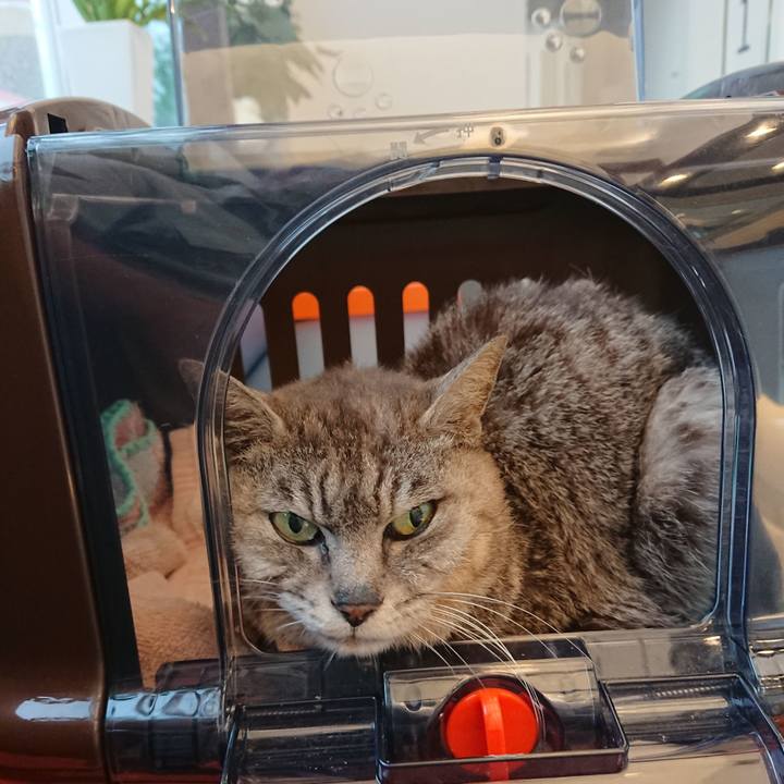 15ac370d 1ebd 4534 8455 43fb5d11da82 1596875121779