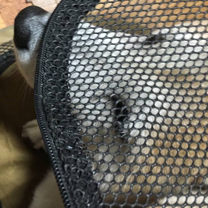 15ac5de9 816e 4165 9993 e28334b3e95d 1510149349523