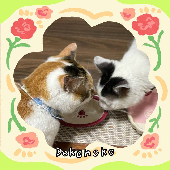 15ac70aa 257d 4908 8549 2a30267d885f 1715510411698