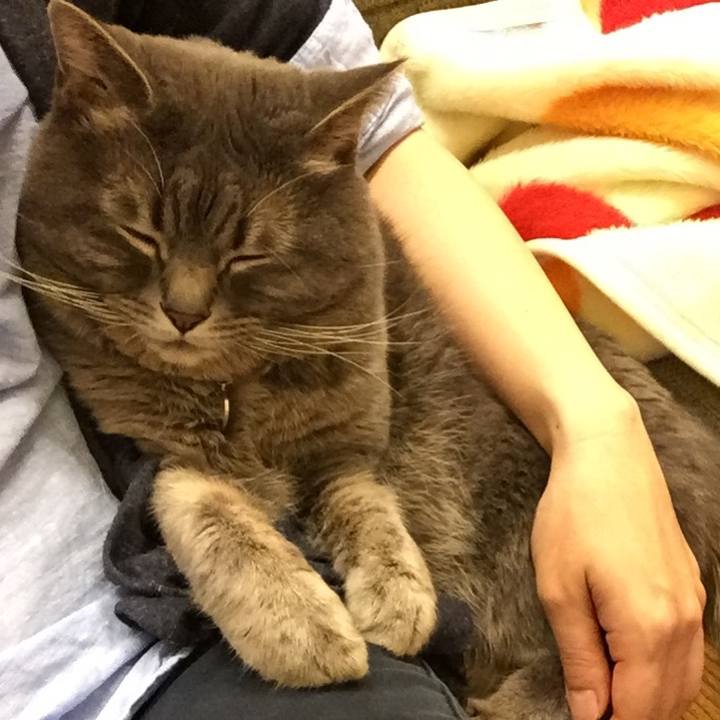 15ac8399 110c 4cab a13d 57c5de6f8ba2 1577999580145