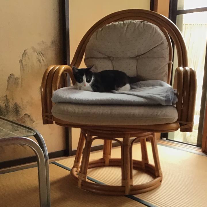 15ac8de8 eda2 403e 86b9 d74ff79916f3 1625888598753