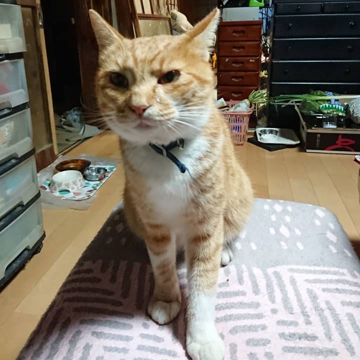 15ac91e6 24f9 4b71 a8e0 7ca97dc63447 1602362587806