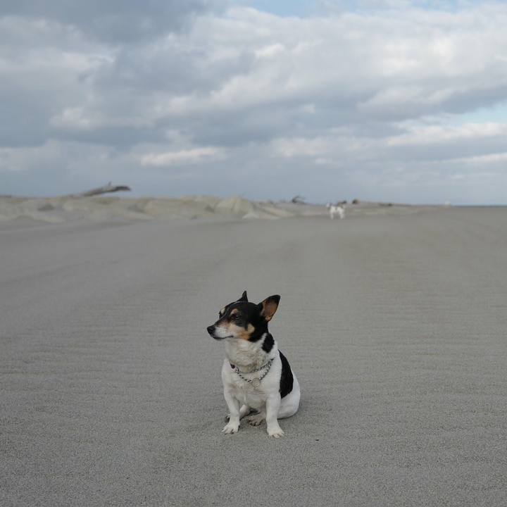 15aca685 a16c 4b9f 9476 b375df1c9cc1 1520828228835