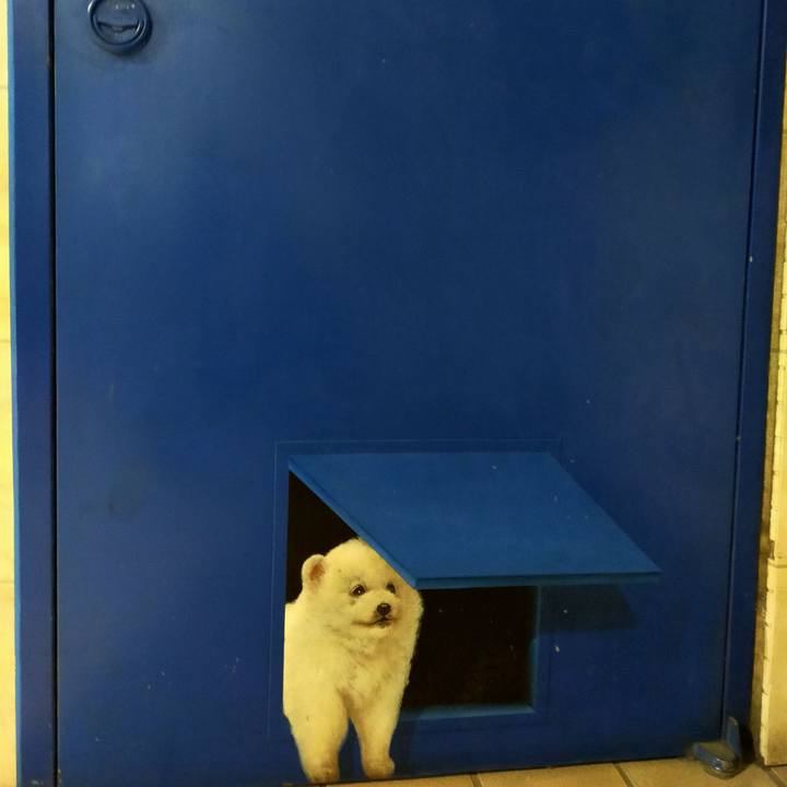 15aca73c 1cf6 4e7e bc3c 027f0801f01c 1648022151296