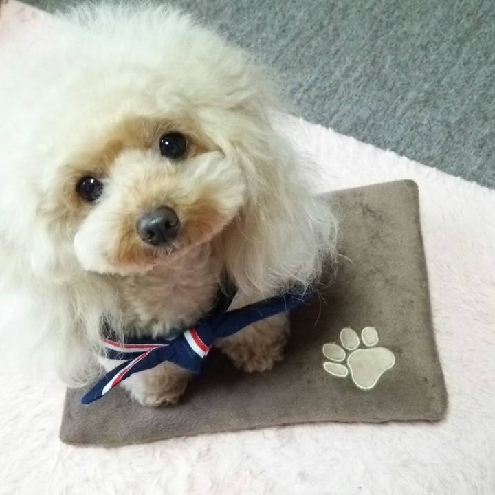 15acb1d3 2ad4 4045 8aea 0c70f4dd55a8 1544246329221