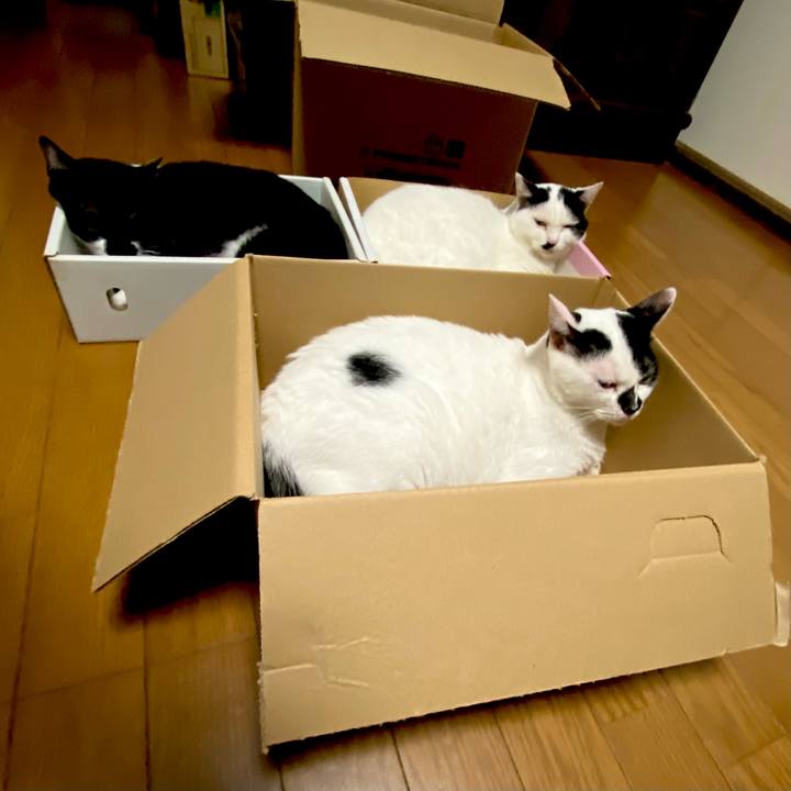 15acbbbc abb4 4c7e 9c87 a0f1b63dfc5c 1660563410847