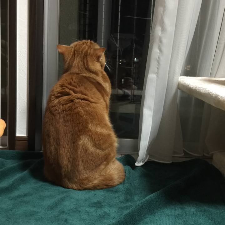 15acc207 17ab 4800 ac08 a9f812f08004 1544874255234