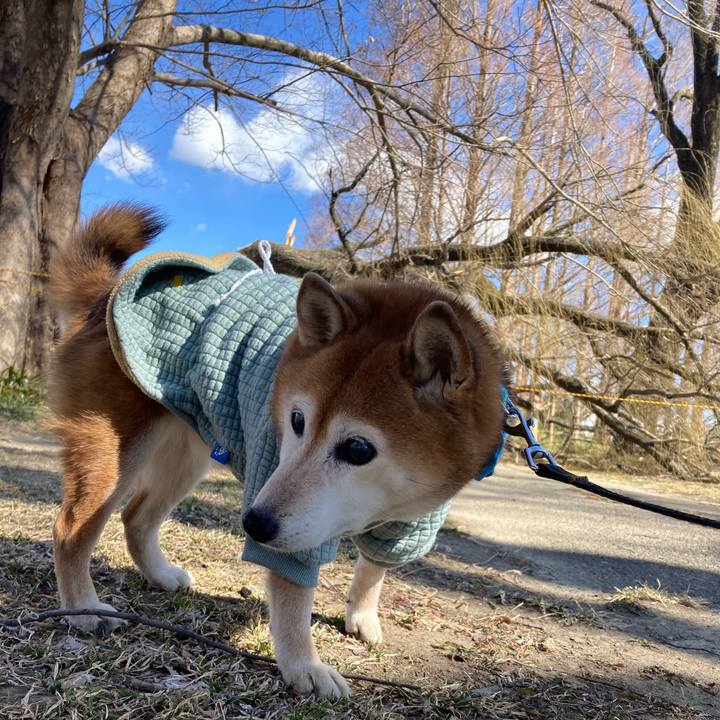 15acce69 cd7f 4054 a2d5 ab3910e17321 1739938049706