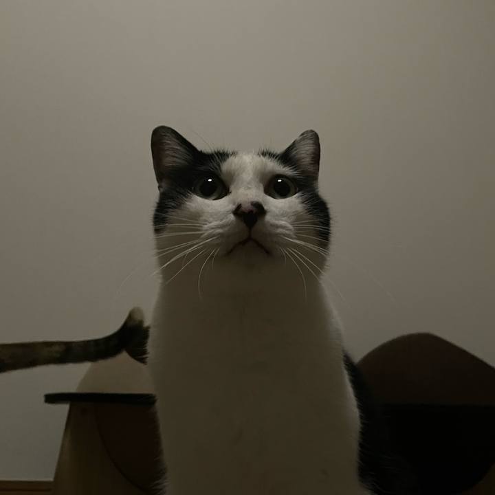 15acf8e2 98f8 4a0d 9ba3 cf56a00f181b 1664469485419