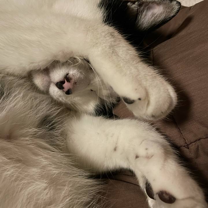 15ad2d60 9fea 402d 8e8c 7d2c6f56080e 1641918003617