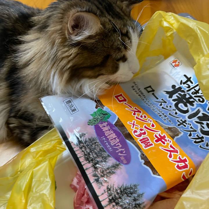 15ad6b67 6351 490c 90a3 aa114572578e 1643445761382