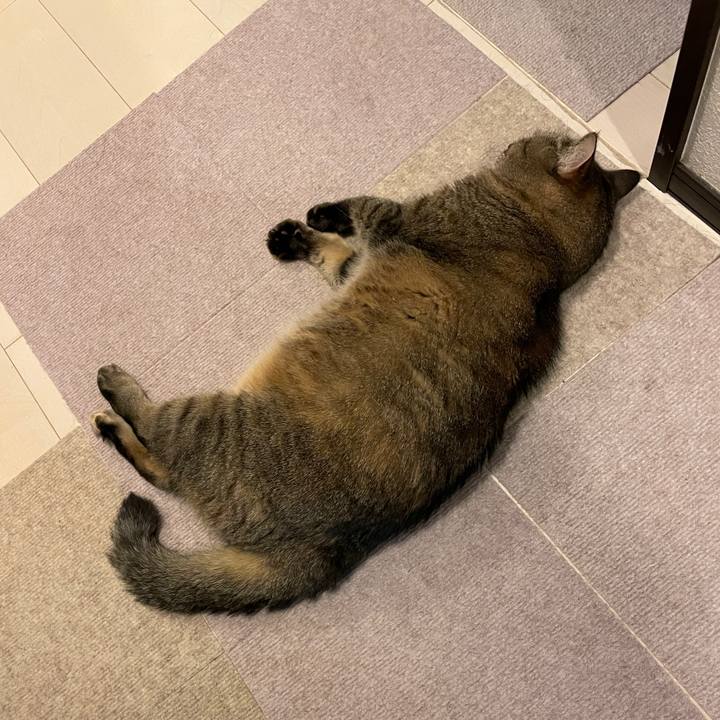 15ad73d2 db28 412e bf21 f37e4da41fd4 1628690936221