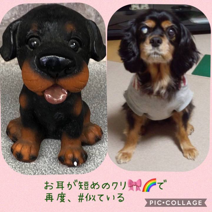 15ad91f6 9058 4480 a23d cdecb6d07017 1548425410353