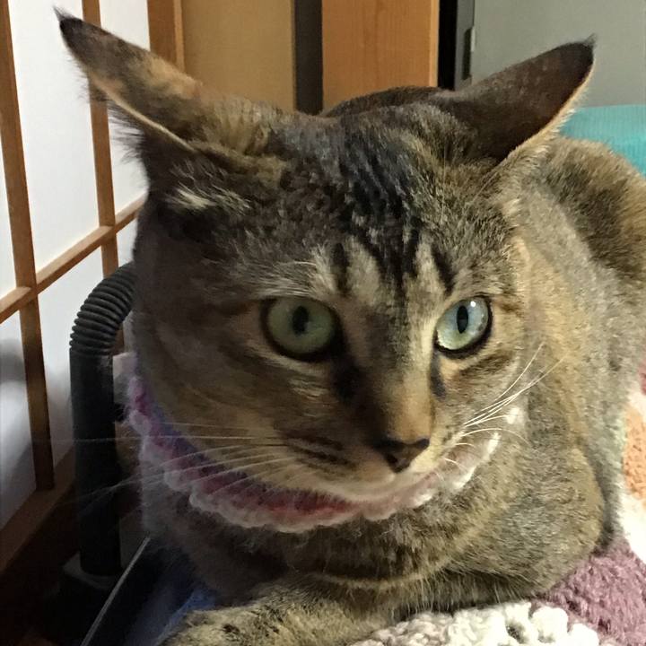 15adaff6 59e8 480c 9e6c 20600dd72ff6 1621936840800