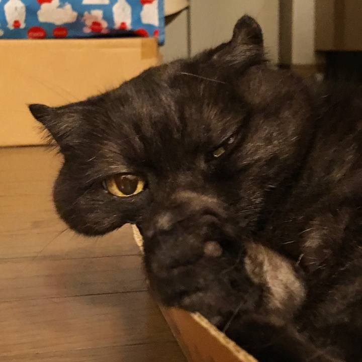 15adbb52 fdf9 4295 af02 874c0b04a522 1528638601370