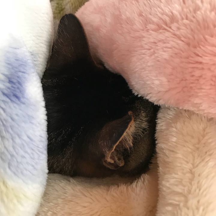 15adbef1 0a60 42ae ba6f 0b4e2e0a8c59 1515547741350