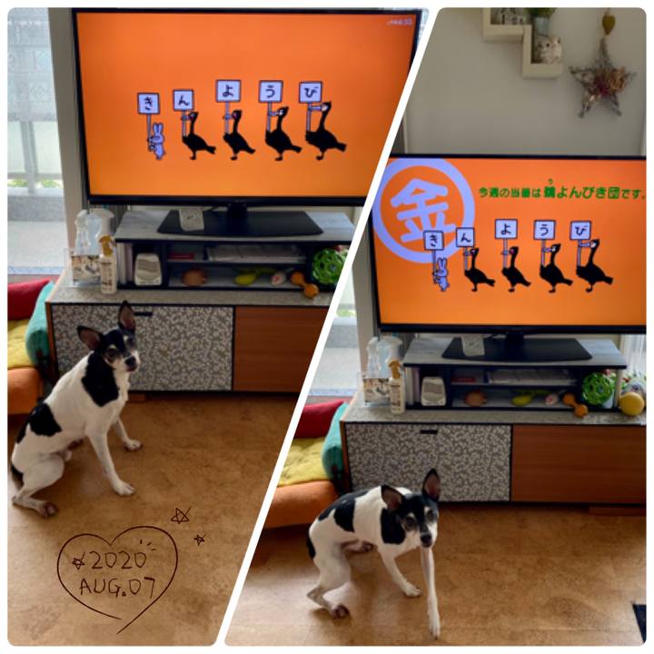 15adf62b 7b29 4ecb 9fda bd39510a07a3 1596751339107