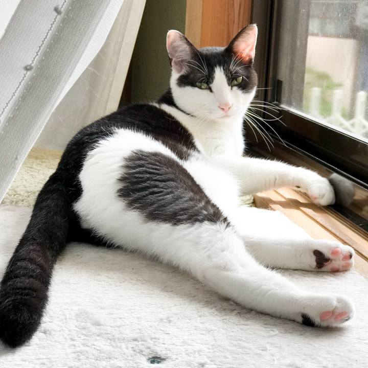 15adffe6 5cd4 4948 a7a1 2d2c529dd7e0 1530540501398