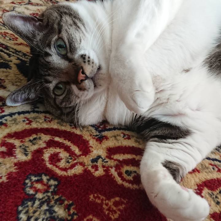 15ae107e e2c6 4b57 bbd4 fb3ced23a0aa 1581216072747