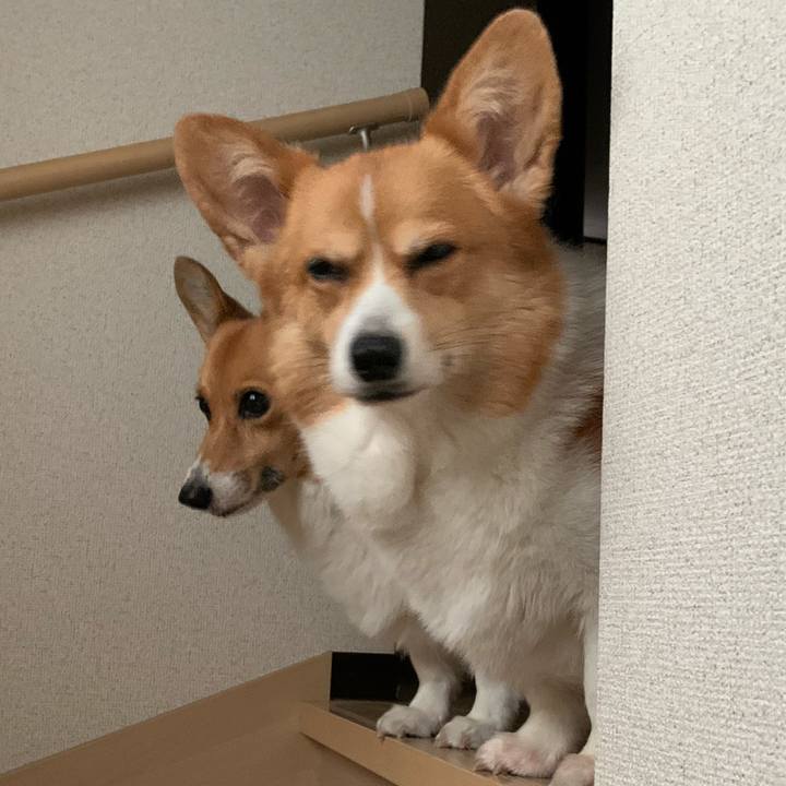 15ae402b 8d7d 4064 9830 a767befbdb99 1600036138426