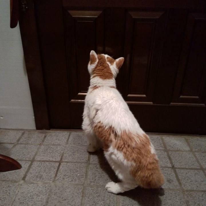 15ae617d 2f06 458d a743 b84d9e82c0dd 1598189497742