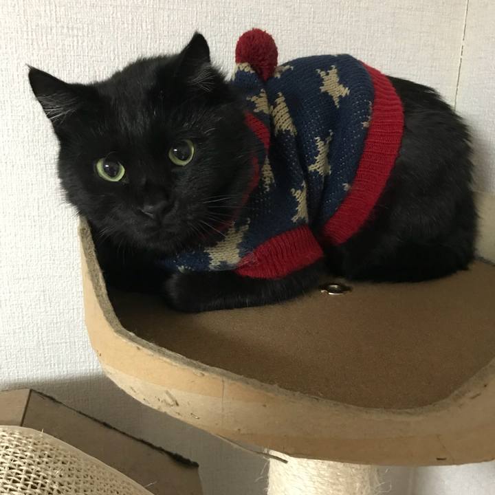 15ae7042 e7e4 411b a12d 88a2dfd5dd98 1539951991918