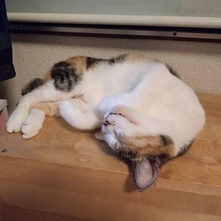 15ae73db 2406 41ec 975f 58b128d456c0 1723814015383