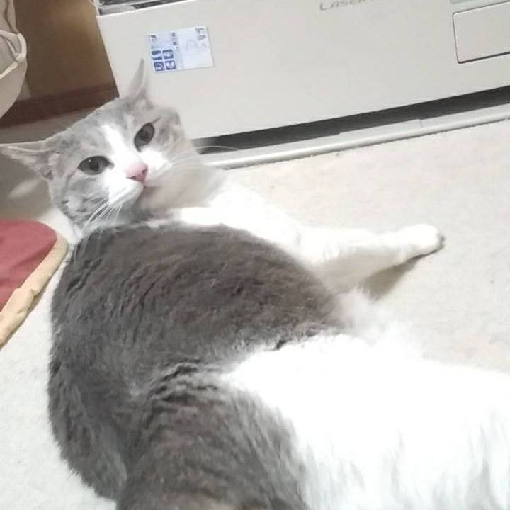 15aea155 695a 4c4c bc56 bfb436f95633 1553583347150