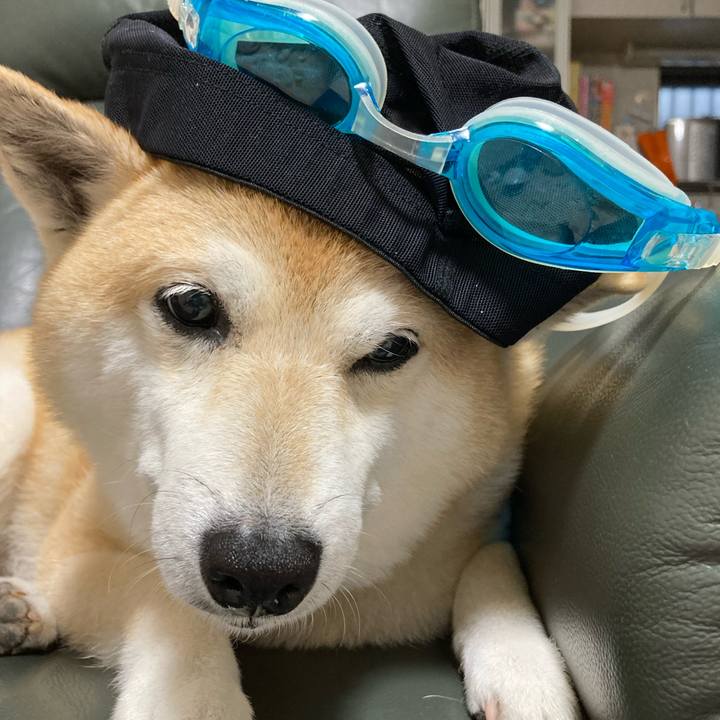 15aecc6e 90a9 4a0c 9a3c e09166579383 1624618465078