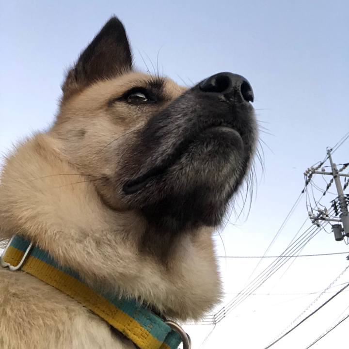 15af0663 0c8b 4e76 93ed 7c72eb372be5 1568810501653