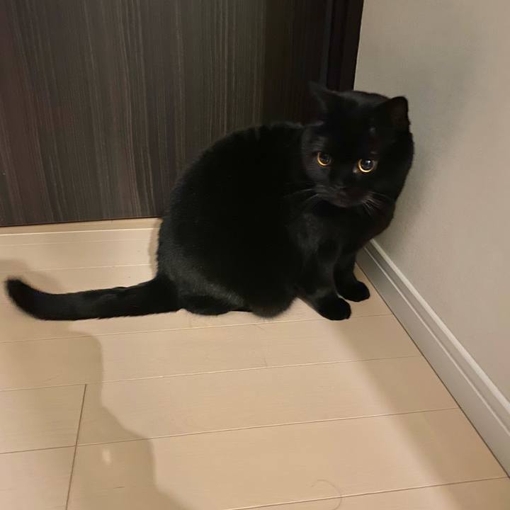 15af43ce 92e7 4667 8c59 47f1724b153f 1738330074778