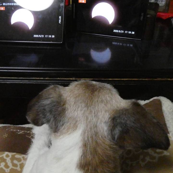 15af4ce5 035b 479e a97c ff2c9eb366ea 1592828437979